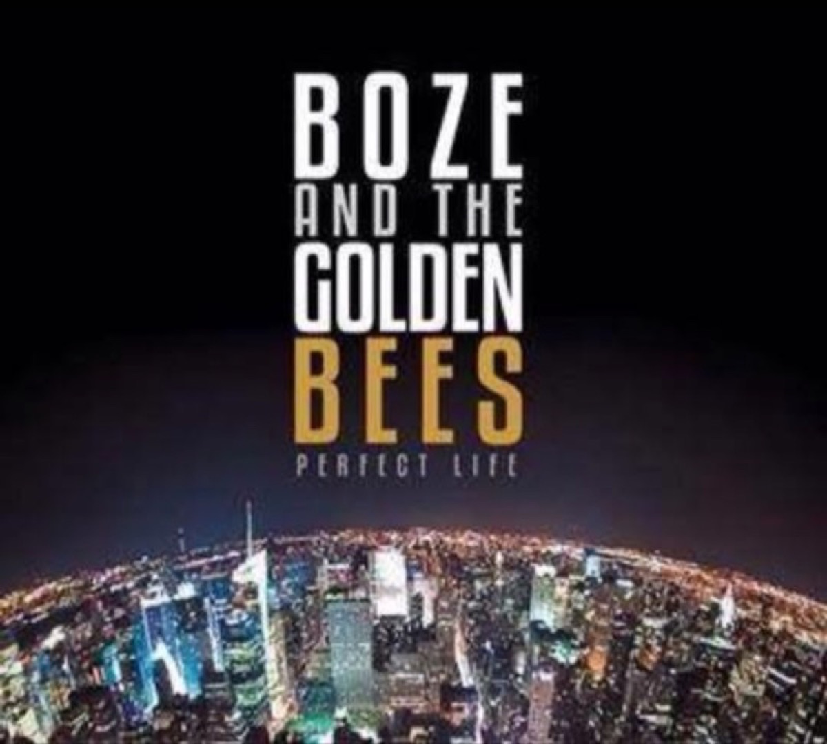 Pochette de l'album Boze and the Golden Bees — Perfect Life